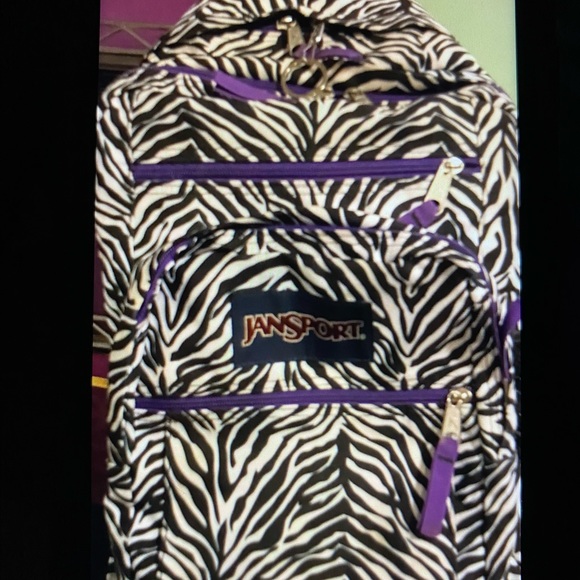 Backpack - Picture 1 of 4